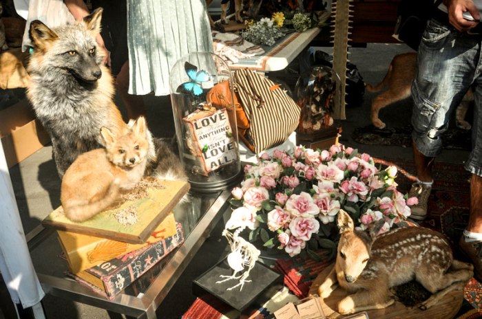 DSC_0540ยยยยยยยย