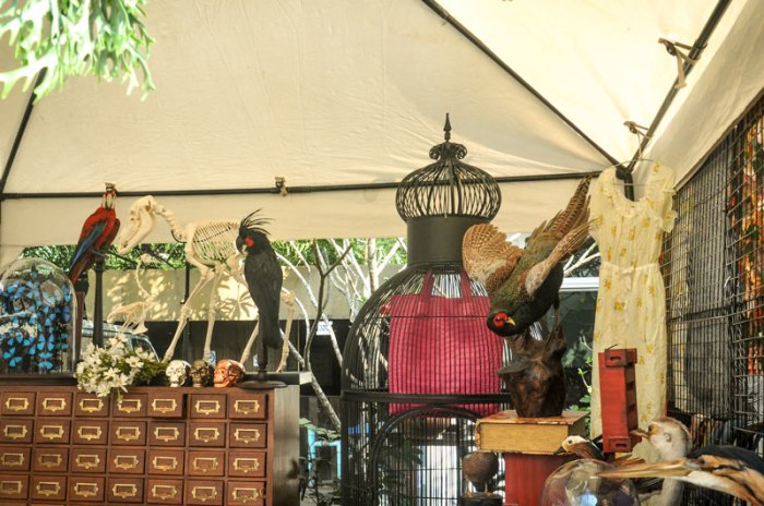 DSC_0541ยยยยยยยย